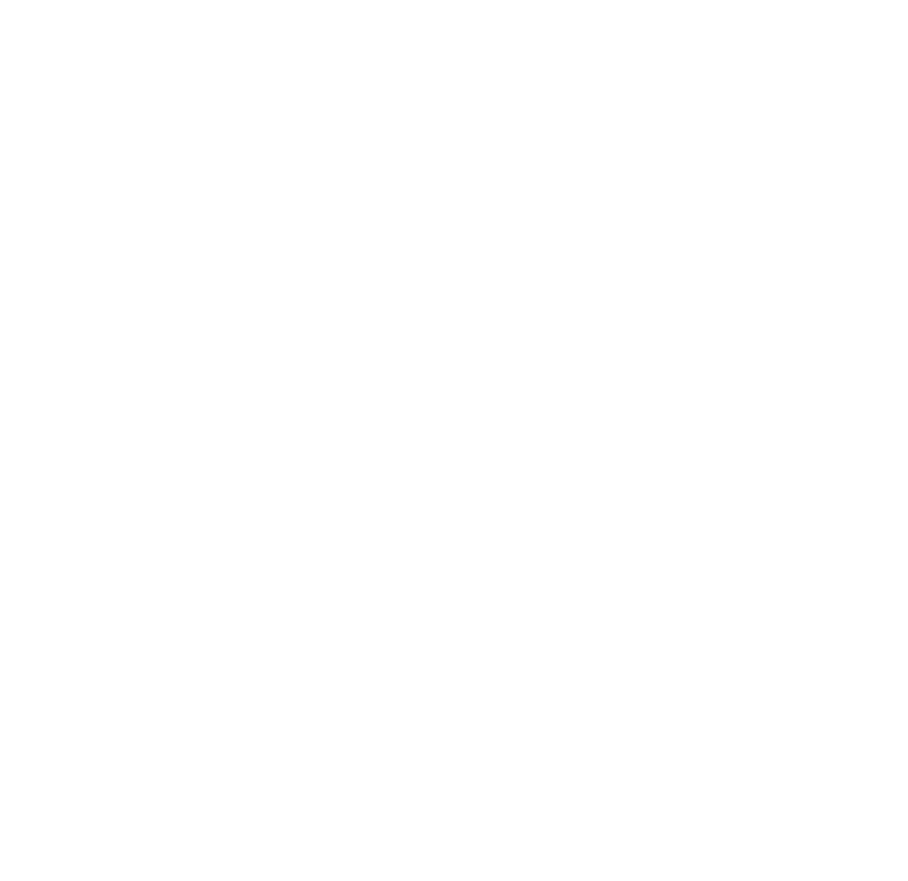 logo_bdm_white